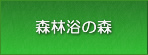 森林浴の森